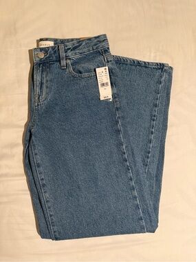 brand new pacsun low rise baggy